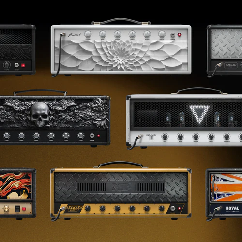 Positive Grid BIAS X amps