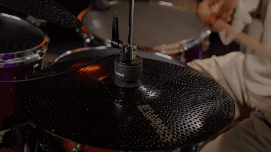 Sunhouse x Evans - vignette