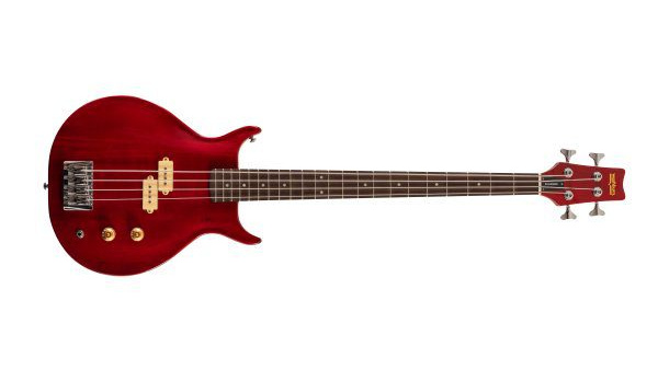 Washburn Scavenger '78 - vue de face