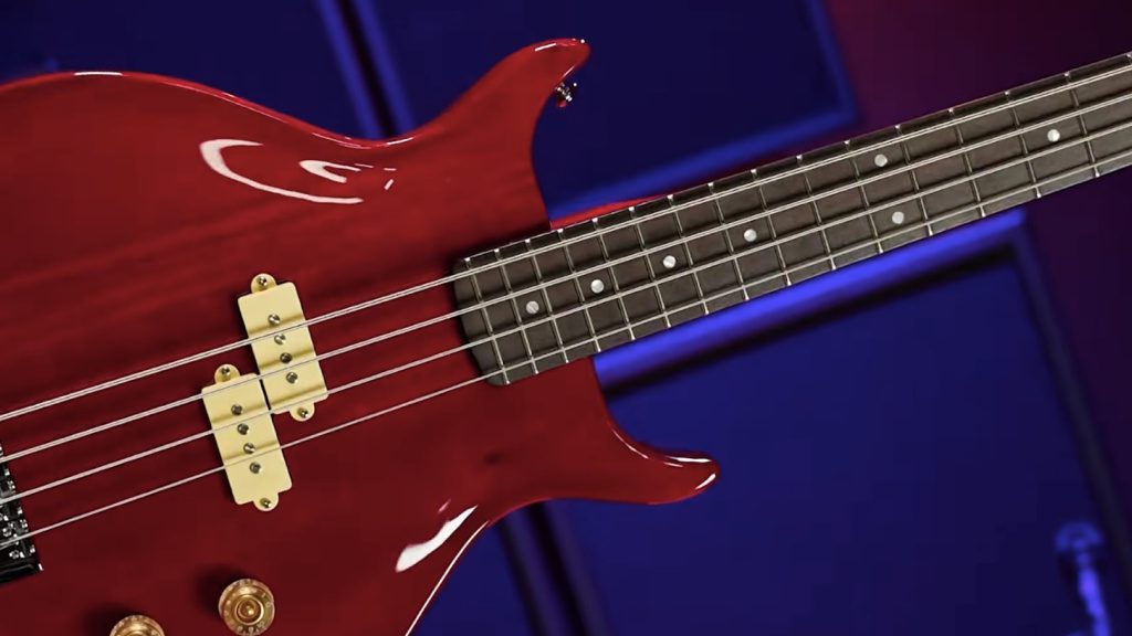 Washburn Scavenger '78 - vignette