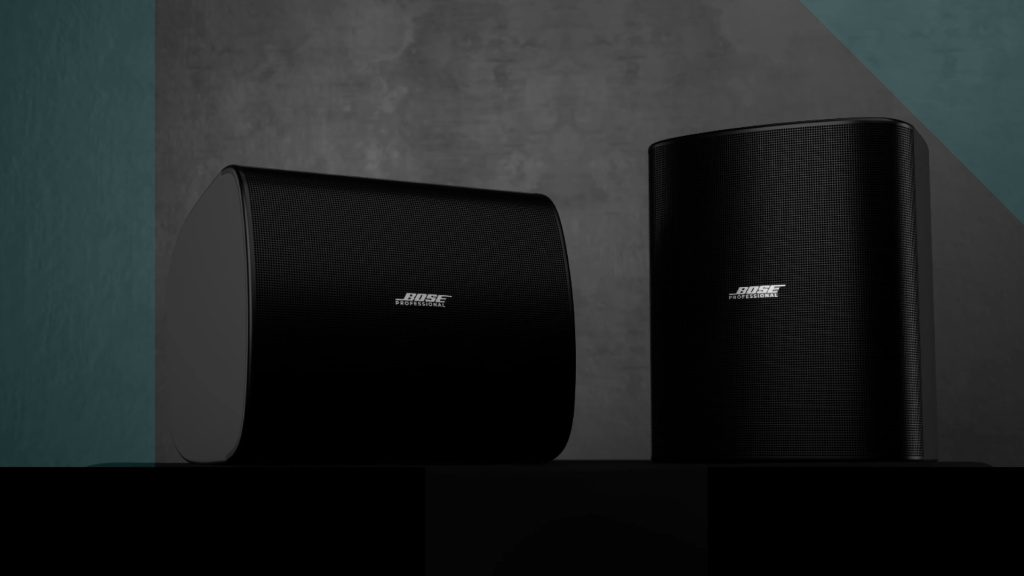 Bose Professional DesignMax DM12SE 12 - vignette