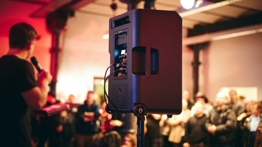 LD Systems Anny 12 - vignette