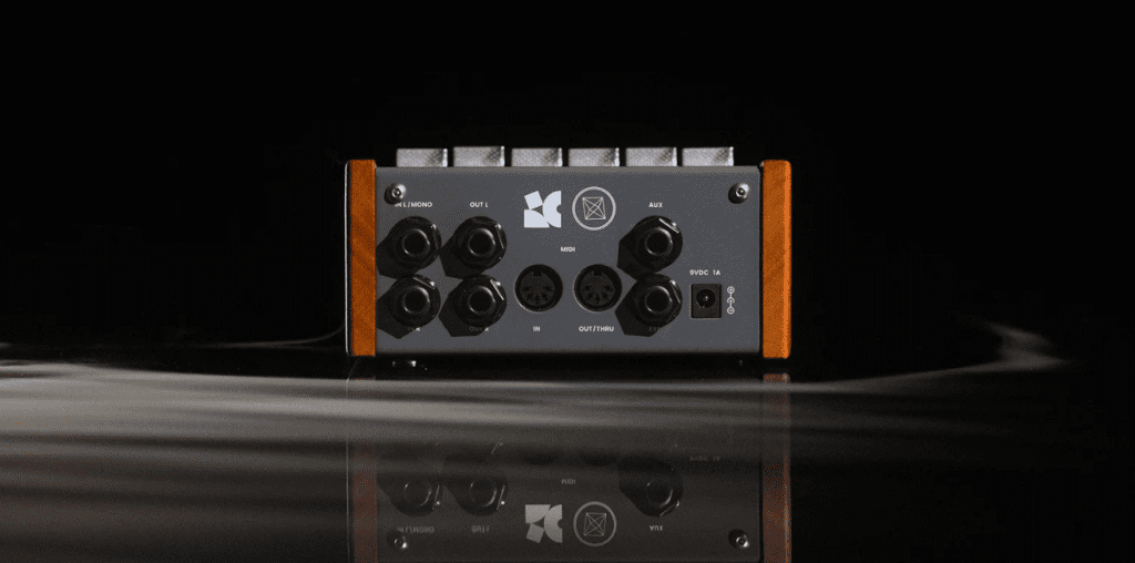 Chase Bliss Big Time - vue arrière