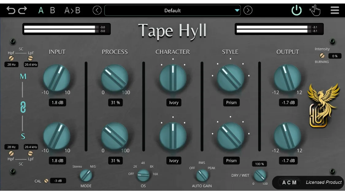 Garuc Audio Tape Hyll - GUI