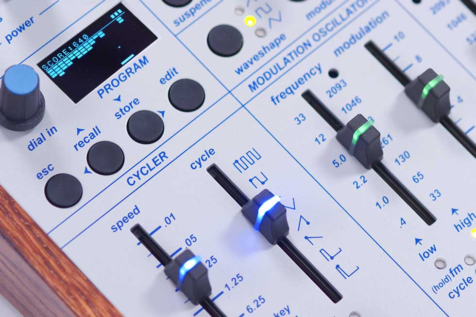 Buchla Ziggy - focus Cycler