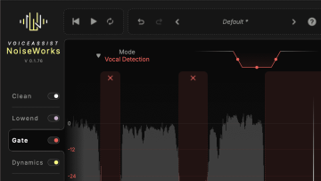 voice assist