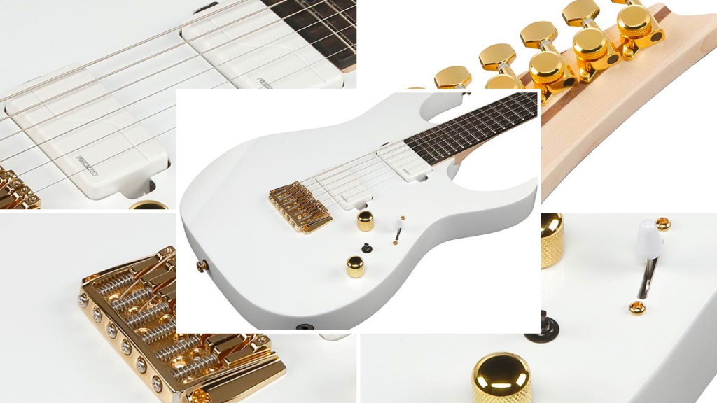 Ibanez RGR621G / Vignette