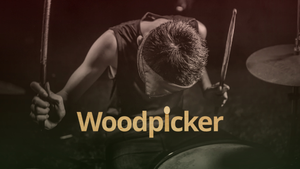Thomann Woodpicker / Vignette